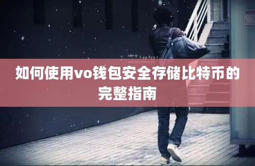 如何使用vo钱包安全存储比特币的完整指南