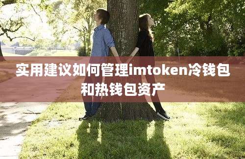 实用建议如何管理imtoken冷钱包和热钱包资产