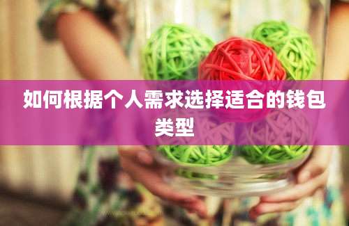 如何根据个人需求选择适合的钱包类型