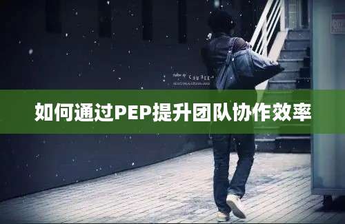 如何通过PEP提升团队协作效率