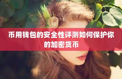 币用钱包的安全性评测如何保护你的加密货币