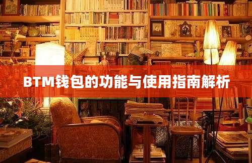 BTM钱包的功能与使用指南解析