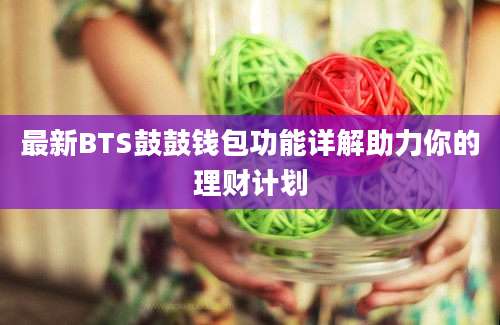 最新BTS鼓鼓钱包功能详解助力你的理财计划