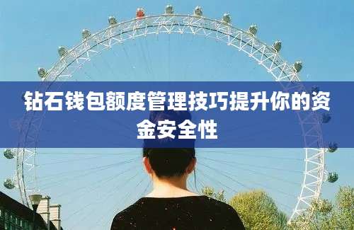 钻石钱包额度管理技巧提升你的资金安全性