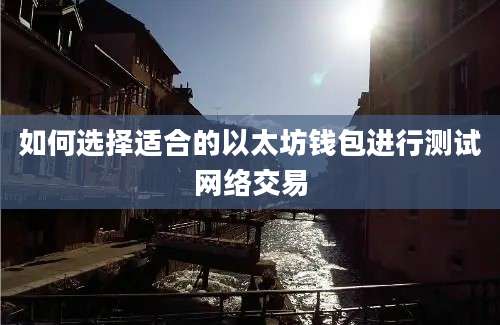 如何选择适合的以太坊钱包进行测试网络交易