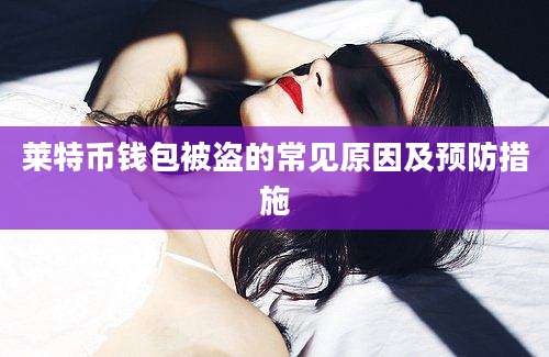 莱特币钱包被盗的常见原因及预防措施