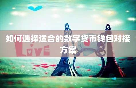如何选择适合的数字货币钱包对接方案