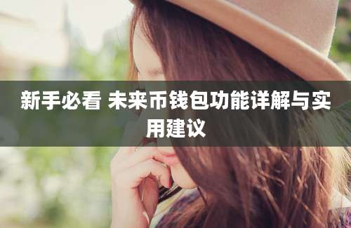 新手必看 未来币钱包功能详解与实用建议