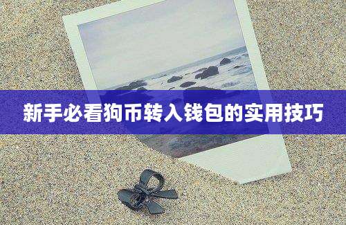 新手必看狗币转入钱包的实用技巧