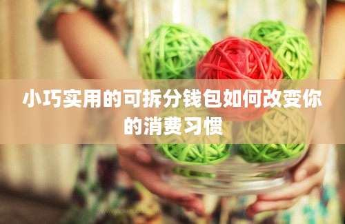 小巧实用的可拆分钱包如何改变你的消费习惯