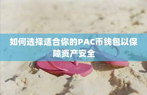 如何选择适合你的PAC币钱包以保障资产安全