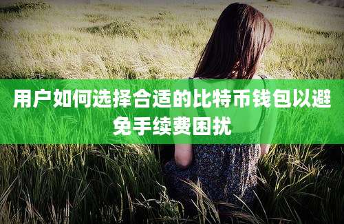 用户如何选择合适的比特币钱包以避免手续费困扰