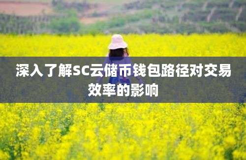 深入了解SC云储币钱包路径对交易效率的影响
