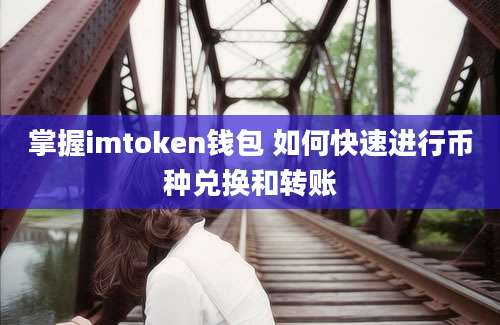 掌握imtoken钱包 如何快速进行币种兑换和转账