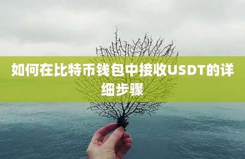 如何在比特币钱包中接收USDT的详细步骤
