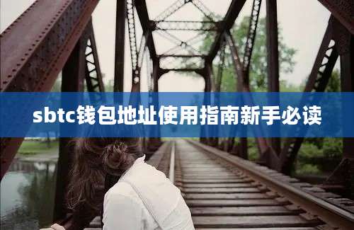 sbtc钱包地址使用指南新手必读