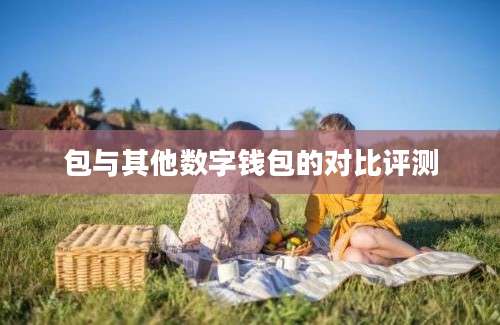 包与其他数字钱包的对比评测