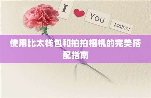 使用比太钱包和拍拍相机的完美搭配指南