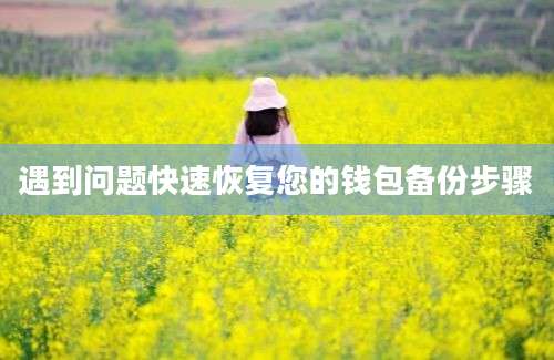 遇到问题快速恢复您的钱包备份步骤