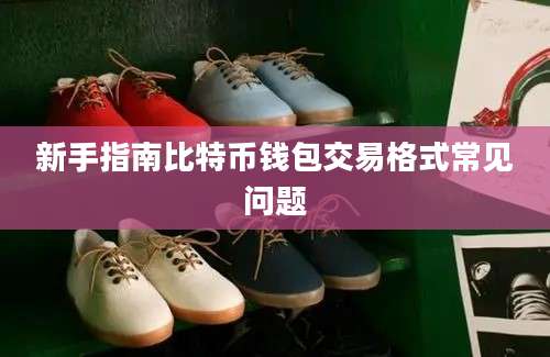 新手指南比特币钱包交易格式常见问题