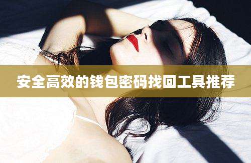 安全高效的钱包密码找回工具推荐