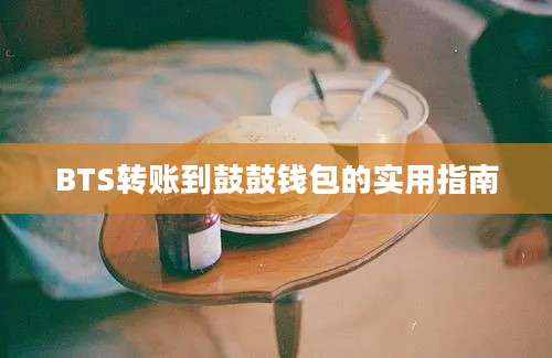 BTS转账到鼓鼓钱包的实用指南