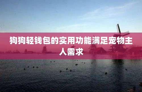 狗狗轻钱包的实用功能满足宠物主人需求