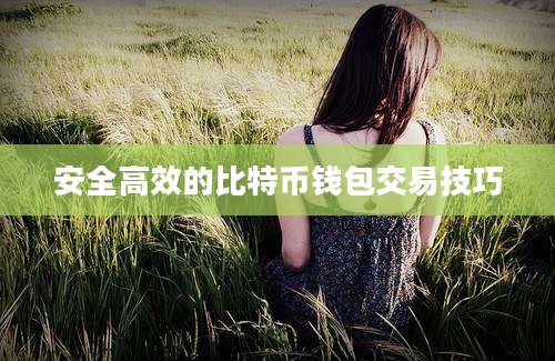 安全高效的比特币钱包交易技巧