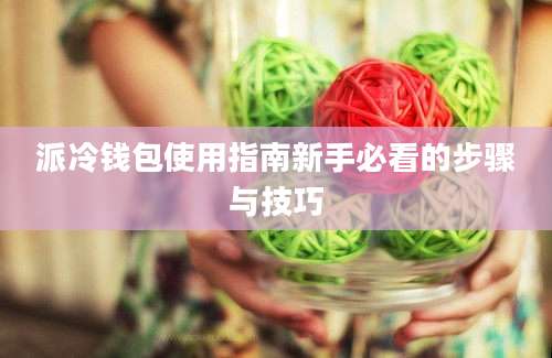 派冷钱包使用指南新手必看的步骤与技巧