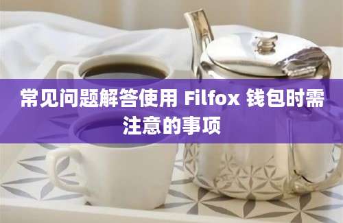 常见问题解答使用 Filfox 钱包时需注意的事项