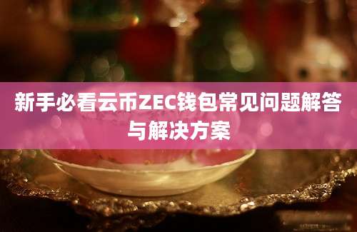 新手必看云币ZEC钱包常见问题解答与解决方案