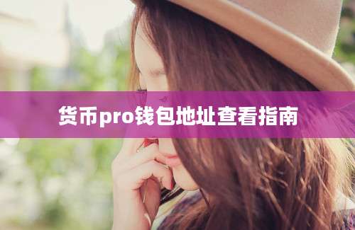 货币pro钱包地址查看指南