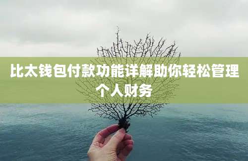 比太钱包付款功能详解助你轻松管理个人财务