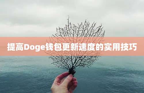 提高Doge钱包更新速度的实用技巧