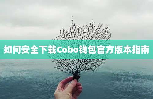如何安全下载Cobo钱包官方版本指南