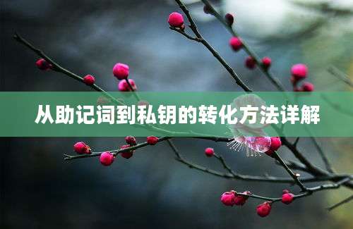 从助记词到私钥的转化方法详解