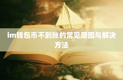 im钱包币不到账的常见原因与解决方法
