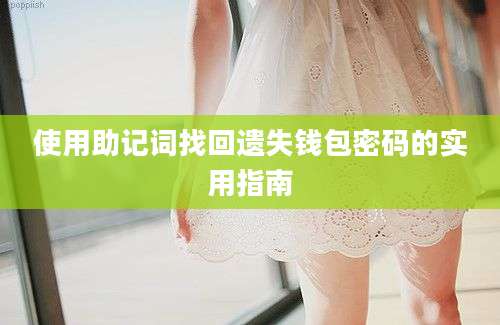 使用助记词找回遗失钱包密码的实用指南