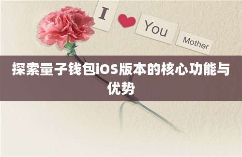 探索量子钱包iOS版本的核心功能与优势