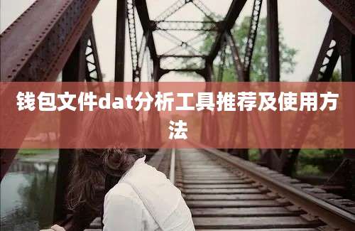 钱包文件dat分析工具推荐及使用方法