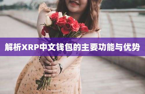 解析XRP中文钱包的主要功能与优势