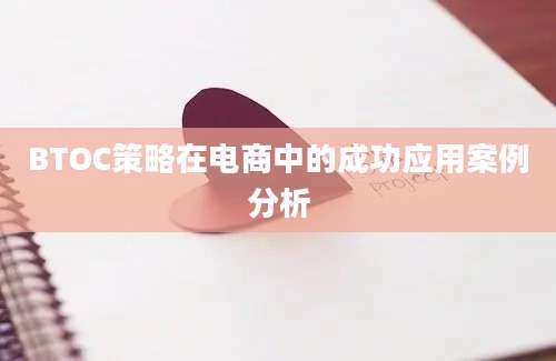 BTOC策略在电商中的成功应用案例分析