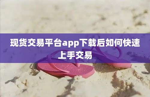 现货交易平台app下载后如何快速上手交易