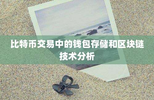 比特币交易中的钱包存储和区块链技术分析