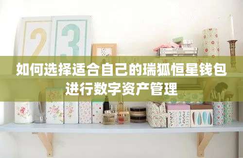 如何选择适合自己的瑞狐恒星钱包进行数字资产管理