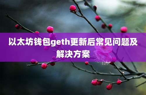 以太坊钱包geth更新后常见问题及解决方案