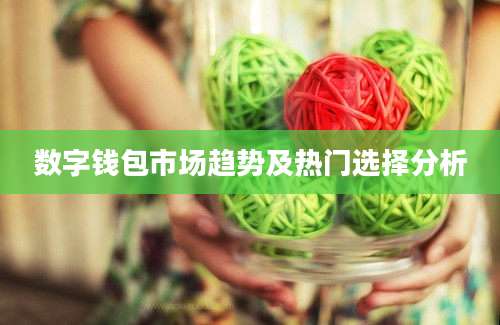 数字钱包市场趋势及热门选择分析
