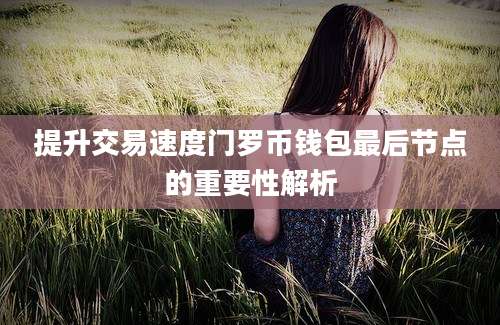 提升交易速度门罗币钱包最后节点的重要性解析