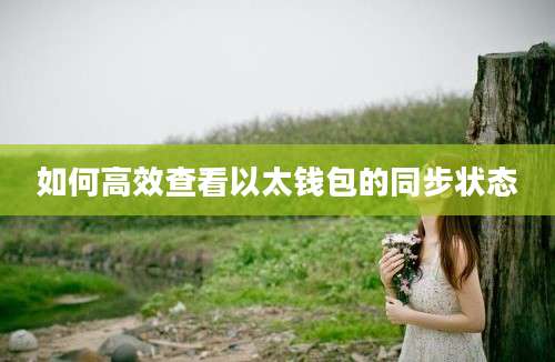 如何高效查看以太钱包的同步状态