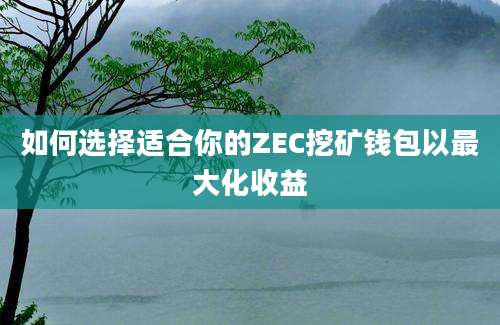 如何选择适合你的ZEC挖矿钱包以最大化收益